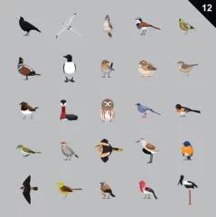 Foto op Plexiglas Various Birds Cartoon Vector Illustration 12 © bullet_chained