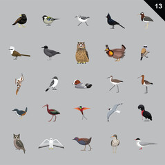 Various Birds Cartoon Vector Illustration 13 - obrazy, fototapety, plakaty