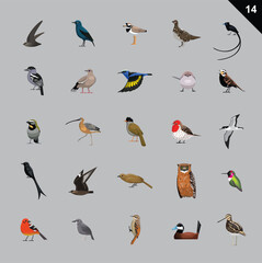 Various Birds Cartoon Vector Illustration 14