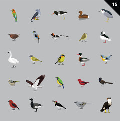 Various Birds Cartoon Vector Illustration 15