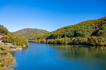 秋の箕輪ダム　もみじ湖