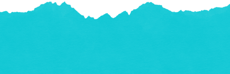 Torn Paper Texture Overlay