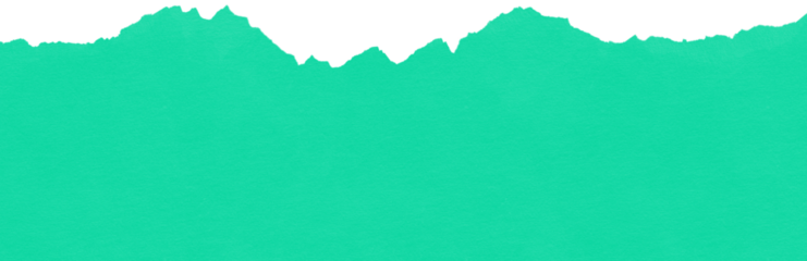 Torn Paper Texture Overlay