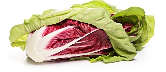 The red and white Treviso radicchio with its vibrant colors stands out against the isolated background making it a perfect ingredient for a healthy salad packed with nutrition and served wit - obrazy, fototapety, plakaty