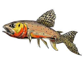 Fototapeta premium fish on a white background