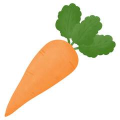illustration of a carrot