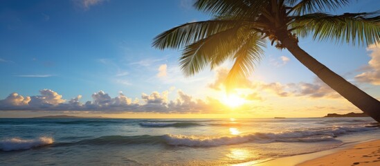 The palm tree silhouette stands beautifully against the vibrant sky as the serene beach with...