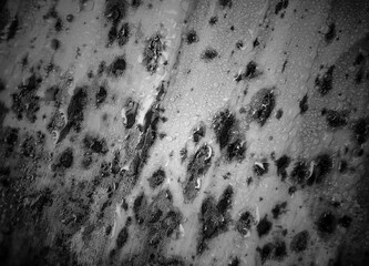 water splash on leaf texture background