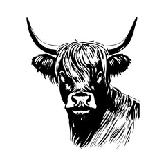 Vector Illustration. Highland cattle cow head. black on white background. farm animal 