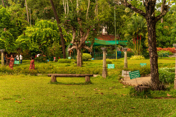 Naklejka premium Garden stone path with grass growing up between the stones.Detail of a botanical garden darmastala karnataka india