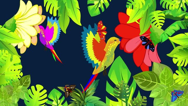 a hummingbirds colibri hovered in front of a red flower plants frame