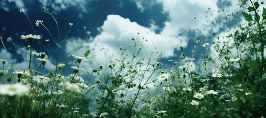 In this close-up shot, delicate white flowers stand against a backdrop of fluffy clouds, creating a serene and picturesque scene. Photorealistic illustration