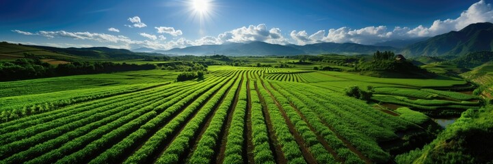 A panoramic vista reveals a sprawling green farm bathed in sunlight, with distant mountains completing the scenic view. Photorealistic illustration - obrazy, fototapety, plakaty