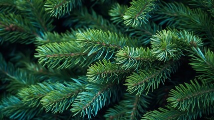 teal background of green juniper branches, dark cyan juniper bush close-up, background for banner close-up, sustainable development : Generative AI