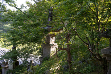 長谷寺，奈良県，寺， 日本の建築物，木造，伝統, 日本の文化，建築,，アジア，仏塔,，古代， 旅行，日本,，伝統，歴史