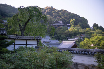 長谷寺，奈良県，寺， 日本の建築物，木造，伝統, 日本の文化，建築,，アジア，仏塔,，古代， 旅行，日本,，伝統，歴史