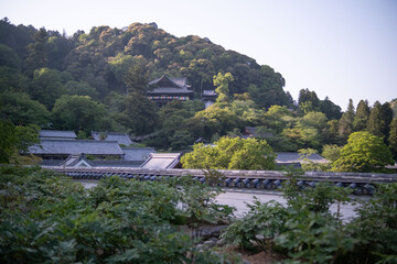 長谷寺，奈良県，寺， 日本の建築物，木造，伝統, 日本の文化，建築,，アジア，仏塔,，古代， 旅行，日本,，伝統，歴史