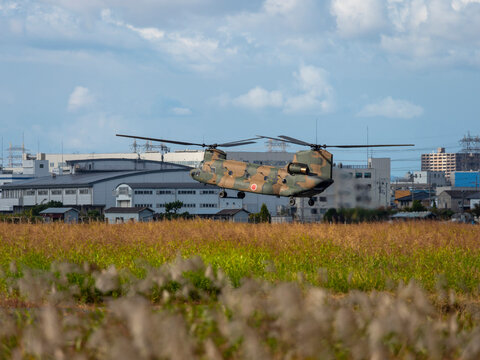 八尾駐屯地に着陸するCH-47チヌーク