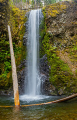 Wiesendanger Falls on The Multnomah-Wahkeena Loop Trail Columbia River Gorge, Oregon, USA