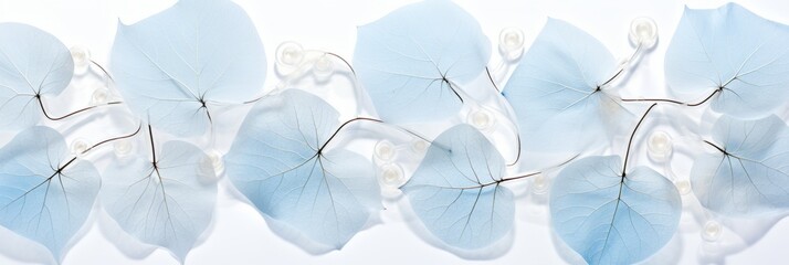 Enchanting botanical masterpiece delicate white leaf on light blue background with bokeh