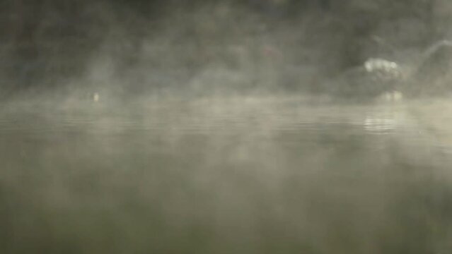 Steam line patterns from Idaho hot spring waters 