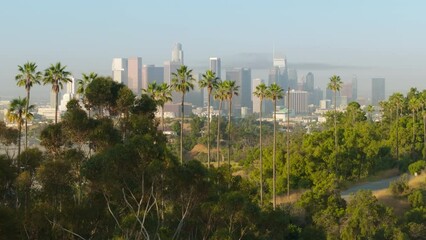 Beautiful green urban park with high rise modern buildings on background. Cinematic shot of green palm trees USA CA. Aerial view of green park with scenic Los Angeles Downtown views on golden sunrise
