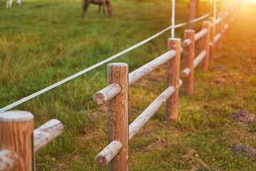 Wooden fence with an electric fence for livestock. Livestock Security and Ensuring Safety. Electric...