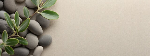 Natural Harmony Sage Twig and Pebble Rocks on Sand - Serene Botanical Background, copy space, top view