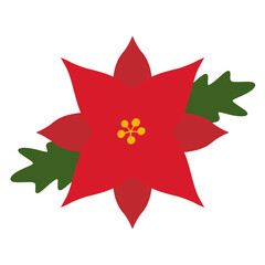 Obraz premium 포인세티아 