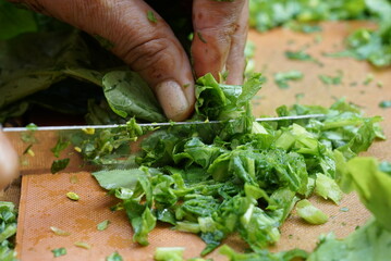 chopping greens leafy or sarson ka saag 