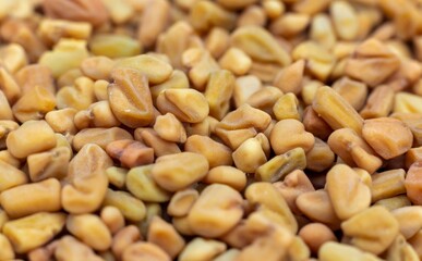 Macro of Fenugreek Seeds or Methi Seed Isolated on Fenugreek Heap in Horizontal Orientation