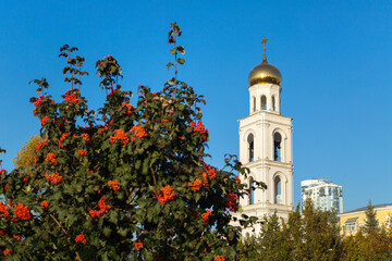 Dome of the Orthodox Church and rowan bush against the blue sky.