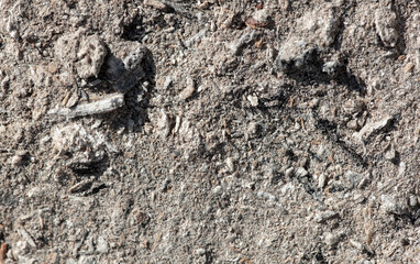 Ashes from burnt coals as an abstract background. Texture