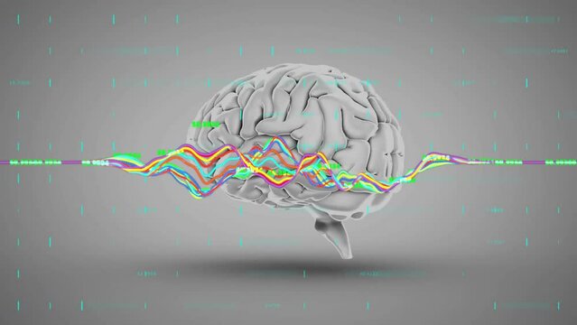 Animation of multicolored graphs with changing numbers over human brain on gray background