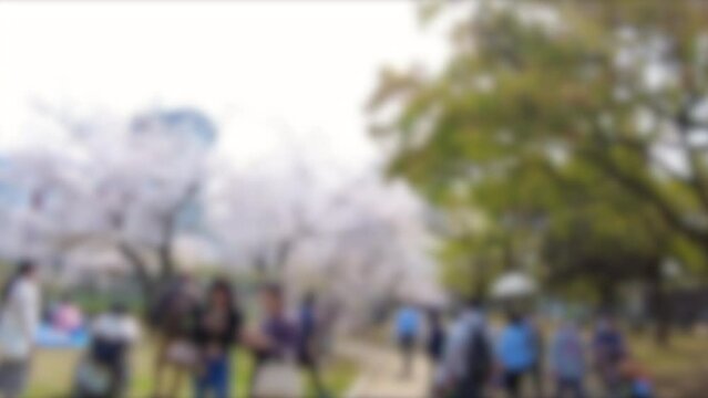 ぼかし背景素材: 多くの花見の人々で賑わう満開の桜並木道を歩くPOVショット  2023年3月30日 広島平和記念公園の桜風景
