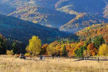 Fototapeta na wymiar Beautiful autumn mountain landscape in the morning light with bright trees