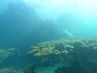 Red Sea in Egypt