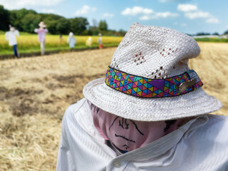 秋の実りを収穫を見守る案山子たち
