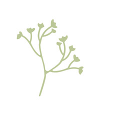 hand draw leave element set