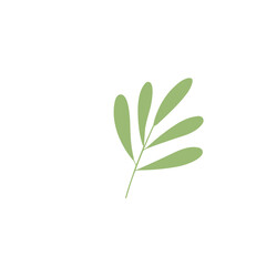 hand draw natural leave element