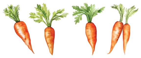 Deurstickers Set of Carrot Watercolor Vector Illustration © Design Spread