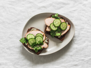 Delicious breakfast, snack, tapas - rye bread sandwiches with baked turkey, cucumber and cottage cheese on a light background, top view