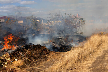 steppe fires during severe drought completely destroy fields. Disaster causes regular damage to environment and economy of region. The fire threatens residential buildings. Residents extinguish fire