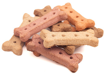 Dog Treat Isolated on a White Background