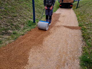compressing the gravel of the new park threshing path. lawn seed is repaired by rolling a metal...