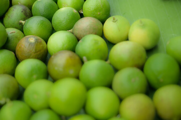 Fresh lemon fruits