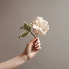 Schilderijen op glas female hands with white flower © wai