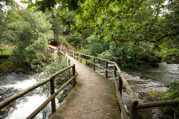 Stone bridge over a beautiful landscape formed by small waterfalls on stones within a lush and green forest. Concept landscape, water, forest, vegetation, humidity.
