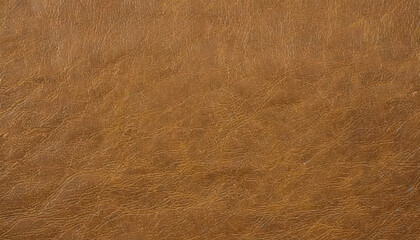 Brown Fine Leather Textured Background