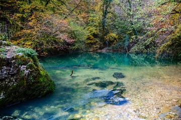 Source du Groin, Ain, France